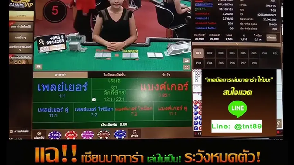 กลยุทธ์การเล่นบาคาร่า