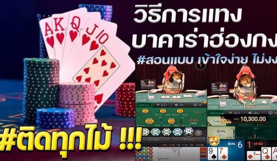 วิธีการอ่านเค้าไพ่บาคาร่า